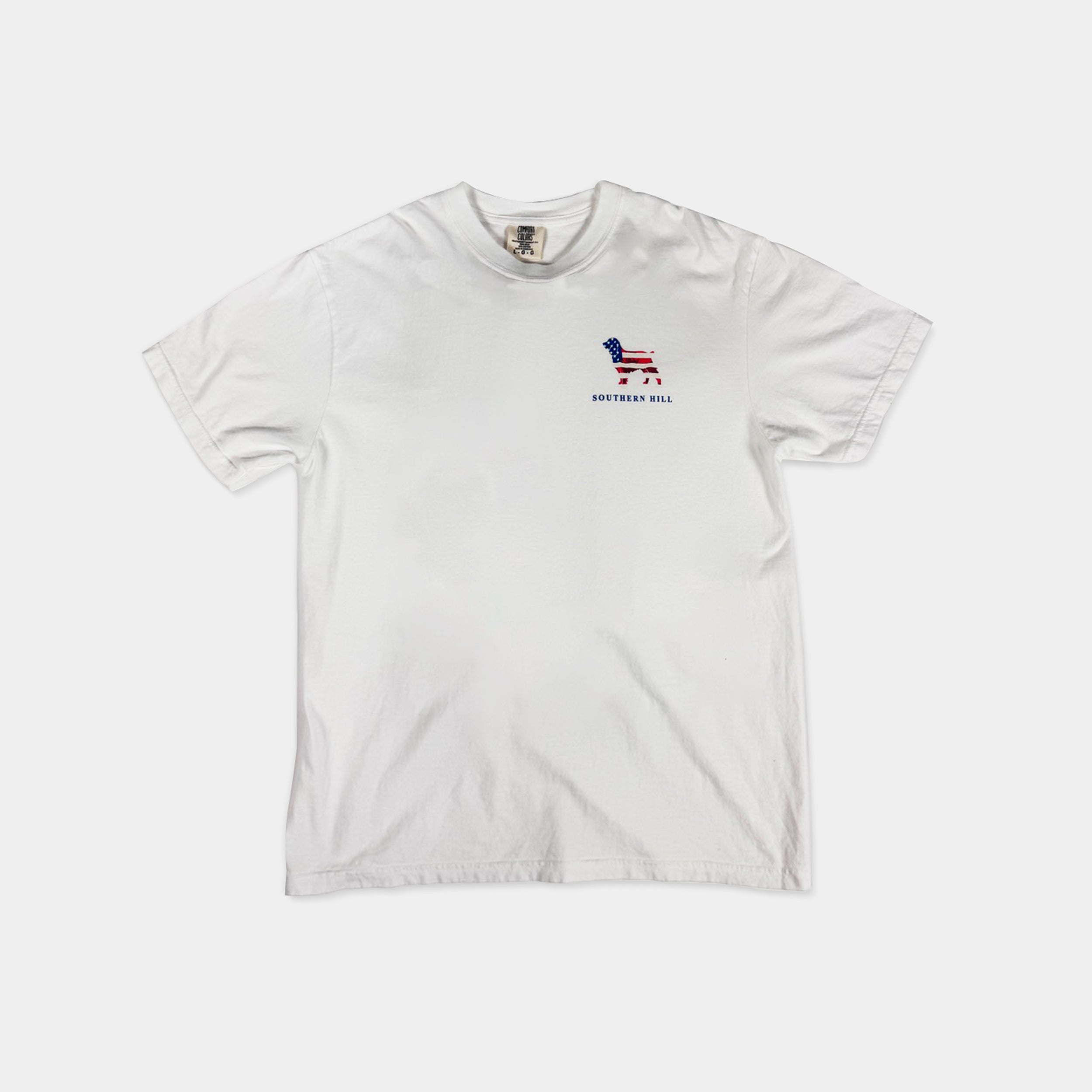 USA Flag Logo T-shirt