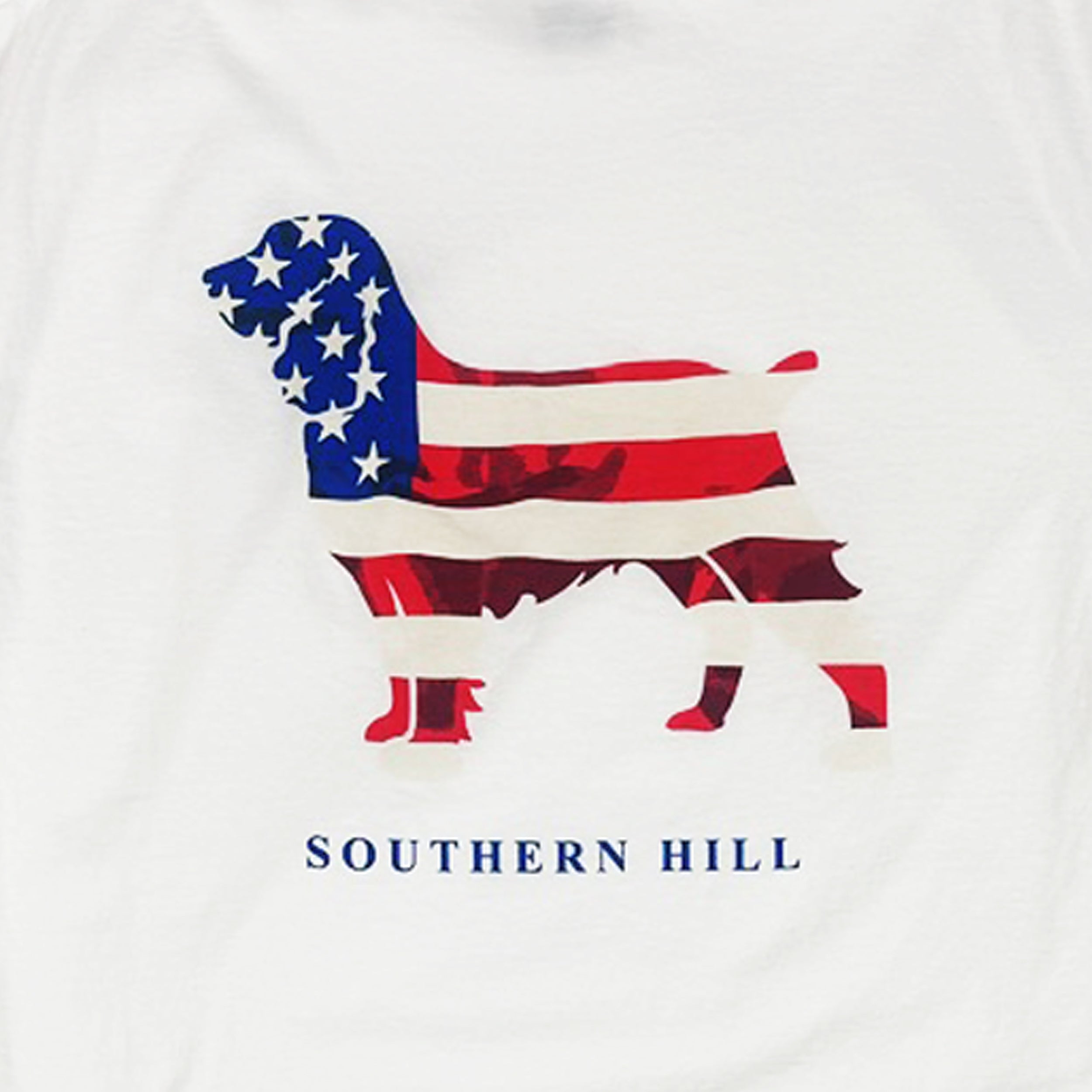 USA Flag Logo T-shirt